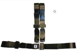 Image of Restraints and Straps